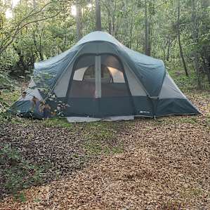 Wooded campsites on the Waccamaw