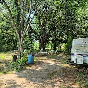 Our site and the common area next to us