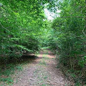 Poplar Creek Farms