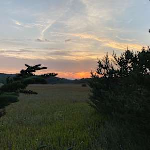 Sunset from the open part of the site