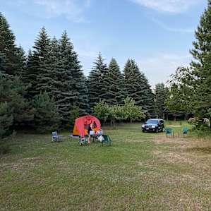 Lots of room and even more in the trees