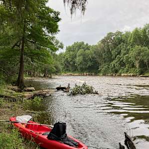 Scenic Withlacoochee river