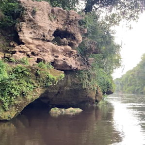 Limestone bluffs