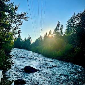Tieton River Bunk