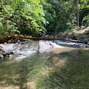 Trillium Private Group Campout