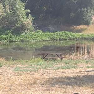 Stallion Oaks Ranch ~Tent Site
