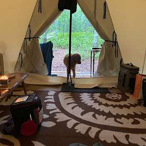 Glamp Frogmore