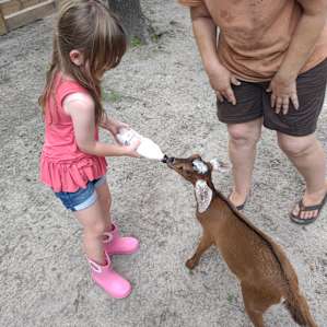 Goat House Farm Glamping