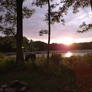 Beaver Lodge Tenting
