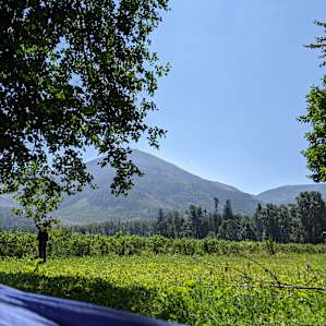 Lush Camping Spot W/ Stunning Views