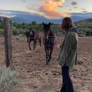 ELEVATED WESTERN CREEKSIDE CAMPING