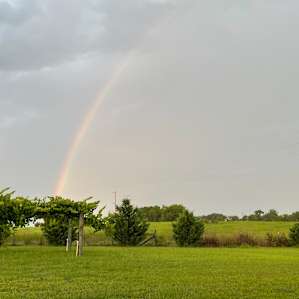 Rainbow across the farm.