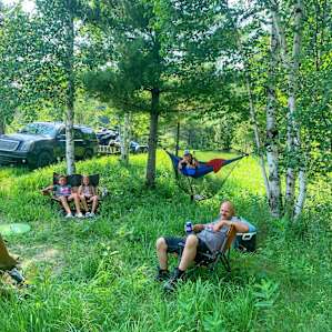 Forest Cleanse on 40 Acres