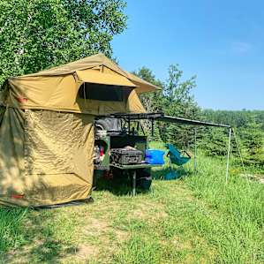 Forest Cleanse on 40 Acres