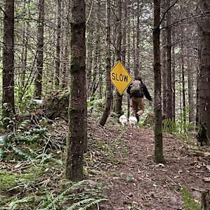 Funny little things you’ll find in the woods on the trail