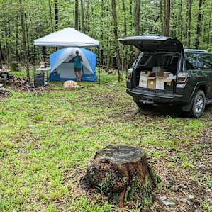 View of Site #4 as you approach from the access road.