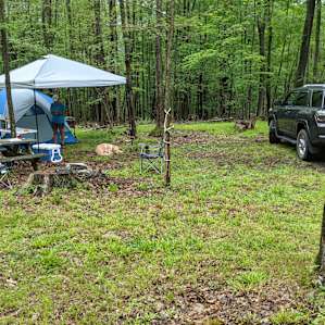 View of Site #4