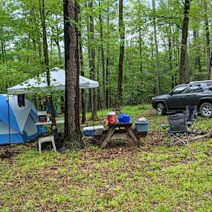 View of Site #4