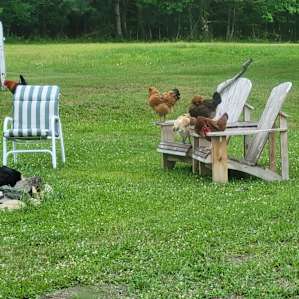 RV Hookup at Little Bird Ranch