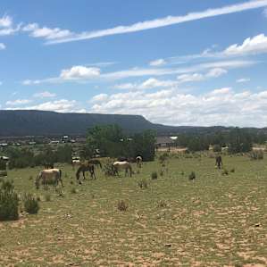 Las Sabinas Ranch