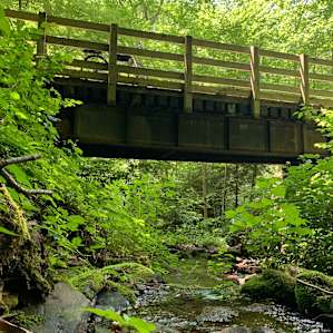 Pine Creek trail