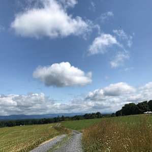 Some of the road to the campsite.