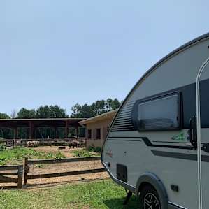 Relaxing RV Spot At Horse Farm