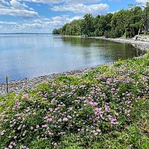 Private beach access to Lake Champlain…perfect to set your tubes or kayaks.