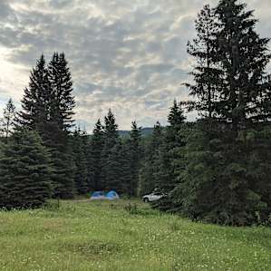 Our tent site