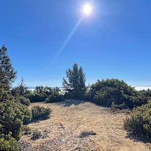 Morning view from the short walking trail