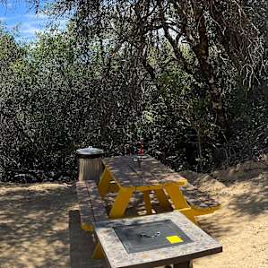 Amenities include: a gas fire table, picnic table, trash and newly installed water spigot.