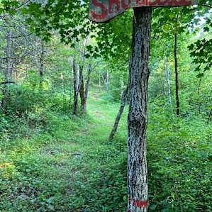 signage for the shortcut to the hill