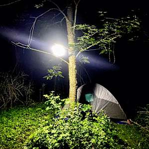 Nestled into the woods with a solar powered lamp