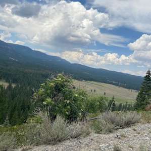 Alpine Valley /|\ Tahoe-Toiyabe NFs