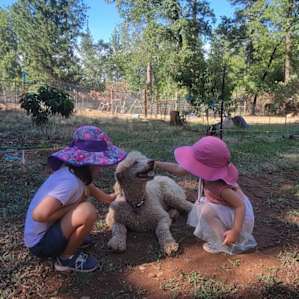 Tilly is such a gentle farm dog. My kids love her!
