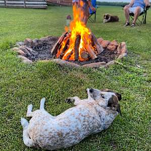 Enjoying the fire as the sun goes down!