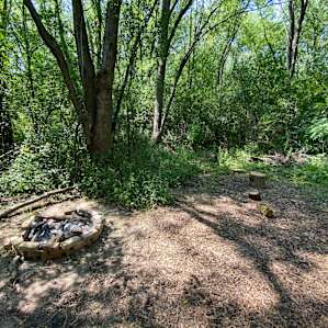 The site before we set up