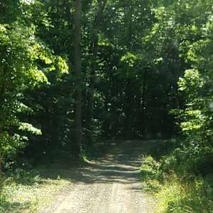 Coon Creek Cove, Mountain Hideaway