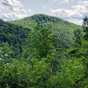Coon Creek Cove, Mountain Hideaway