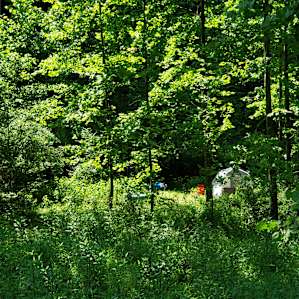 Coon Creek Cove, Mountain Hideaway