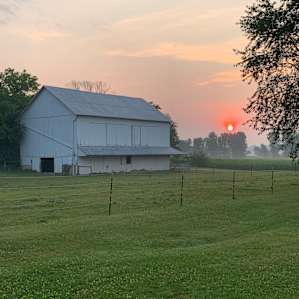 Sunrise