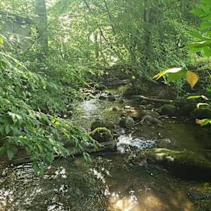 Gatlinburg Full Hookup RV LOT