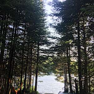 The Alcove at Martin's Pond