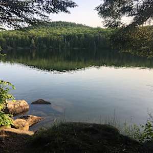 The Alcove at Martin's Pond