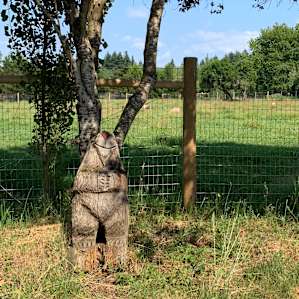 Greeting at the farm