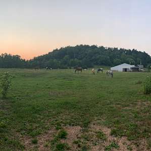 Sunset over the horse pasture