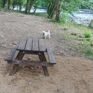 The River Life