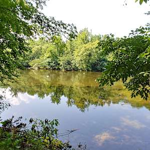 The River Life
