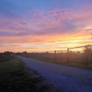 Gorgeous sunsets on the property