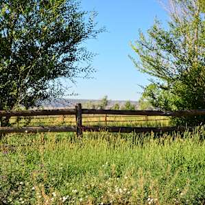 Across the field.